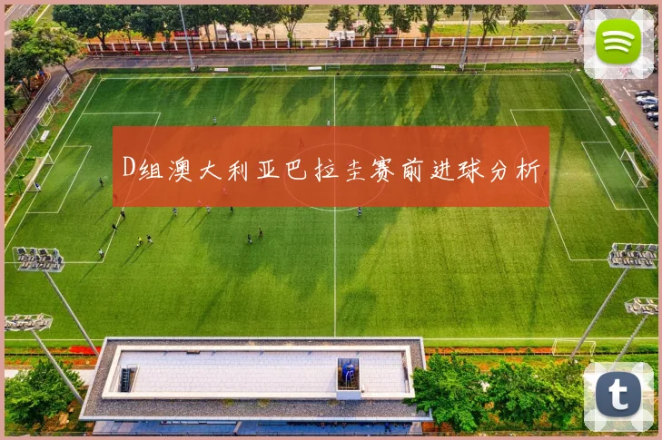 D组澳大利亚巴拉圭赛前进球分析