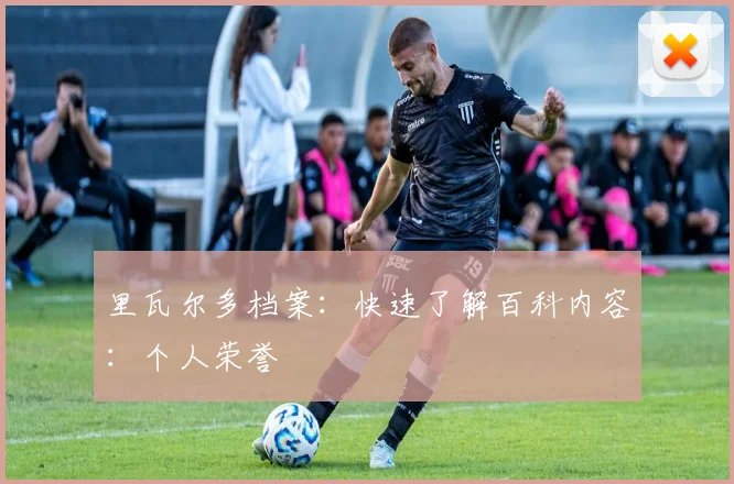 里瓦尔多档案：快速了解百科内容：个人荣誉